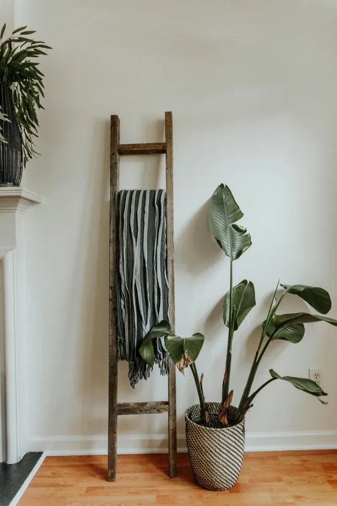 Wooden ladder tower holder